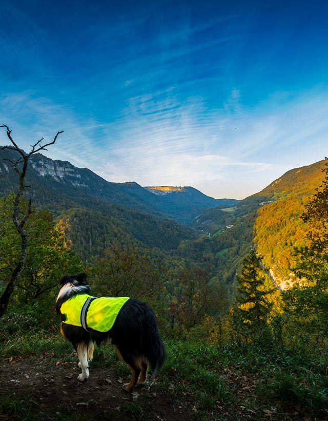 Vue depuis les ruines du château de Rochefort dans le canton de neuchâtel de l'entrée du Val-de-Travers et du Creux-du-Van en fond