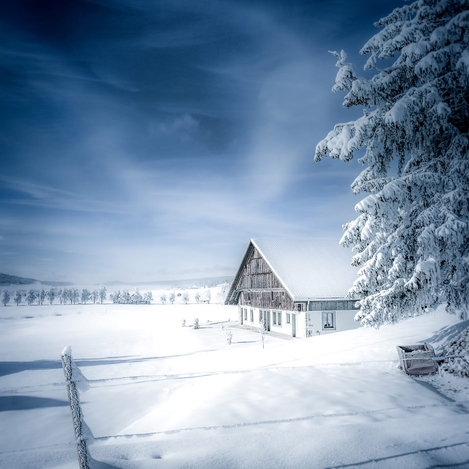 Paysage enneigé avec une petite cabane en bois au centre, entourée de neige et d'arbres couverts de neige.