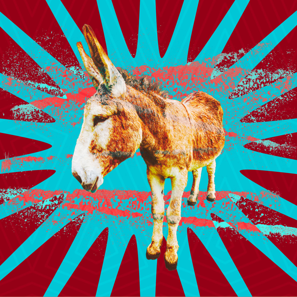 Un âne sur un fond rouge avec des rayons bleus et des éclaboussures de peinture.