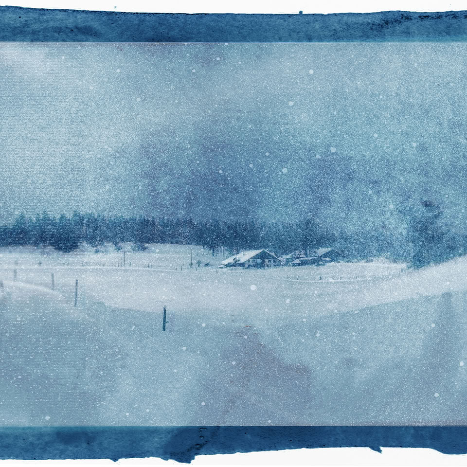 Peinture en bleu montrant un paysage enneigé avec des arbres à l'horizon.