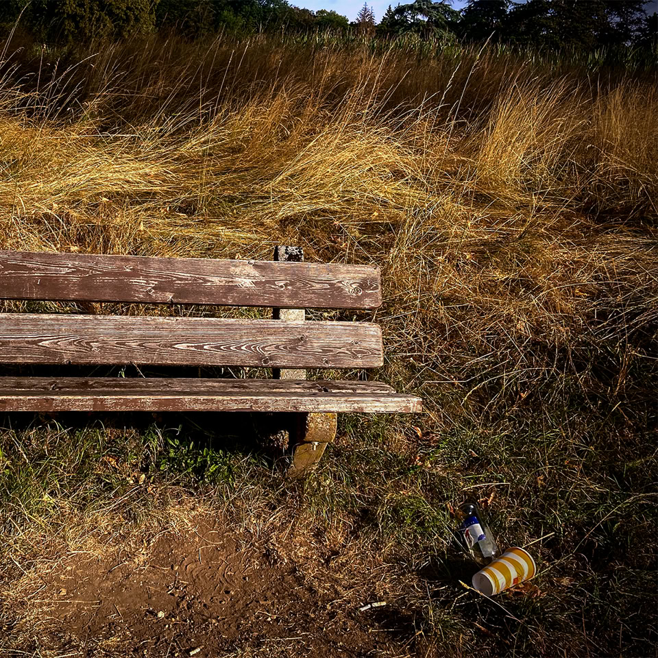 A weathered wooden bench surrounded by tall dry grass.