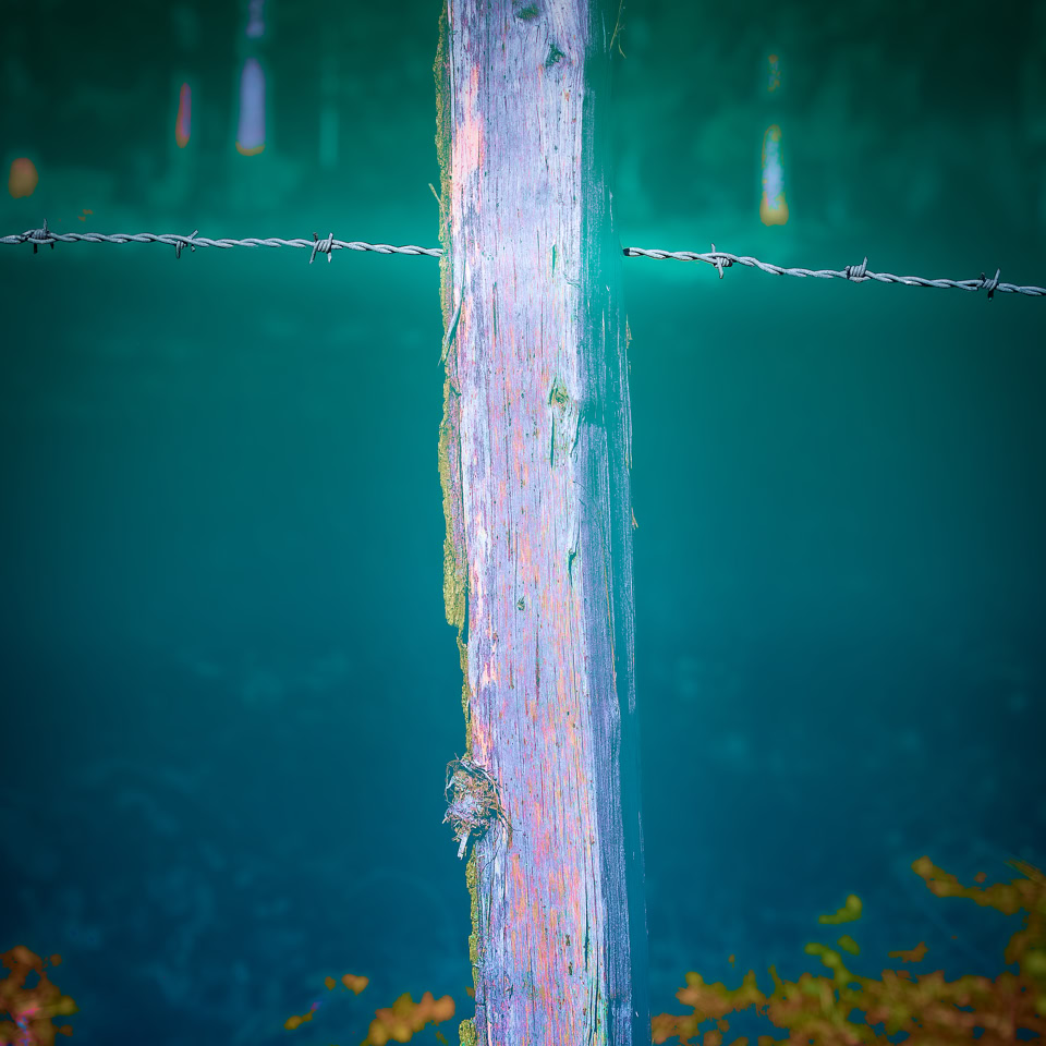 A weathered wooden post with barbed wire against a blurred blue and green background, with some orange foliage at the bottom.