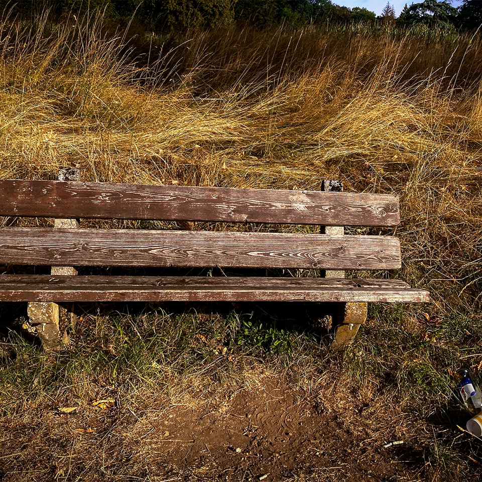 Banc en bois usé devant des herbes hautes et sèches.